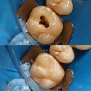 56F4FF29-33C3-4B6F-BA60-7743D971C0CD