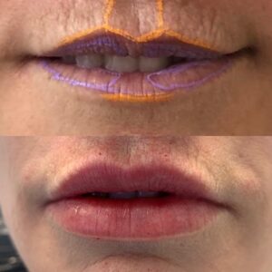 81B87C77-B002-4DEC-A702-21165DE9D136